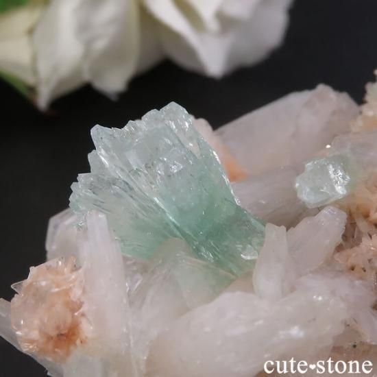 ɻ ꡼󥢥ݥե饤ȡƥХȡҥ塼 θ 29gμ̿1 cute stone