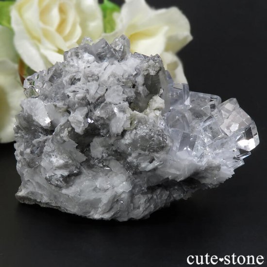 ڥ Emilio Mine 顼쥹ե饤Ȥդ뾽ʸС 118gμ̿0 cute stone