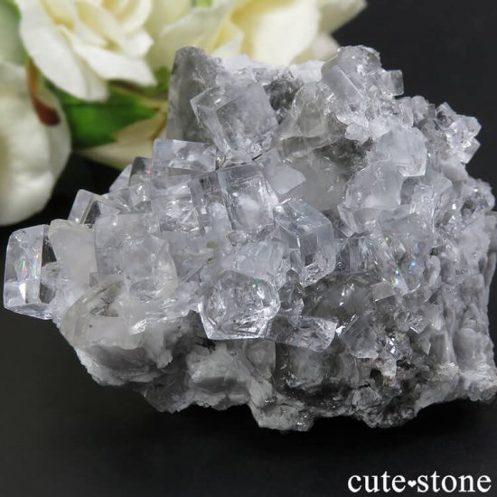 ڥ Emilio Mine 顼쥹ե饤Ȥդ뾽ʸС 118gμ̿1 cute stone