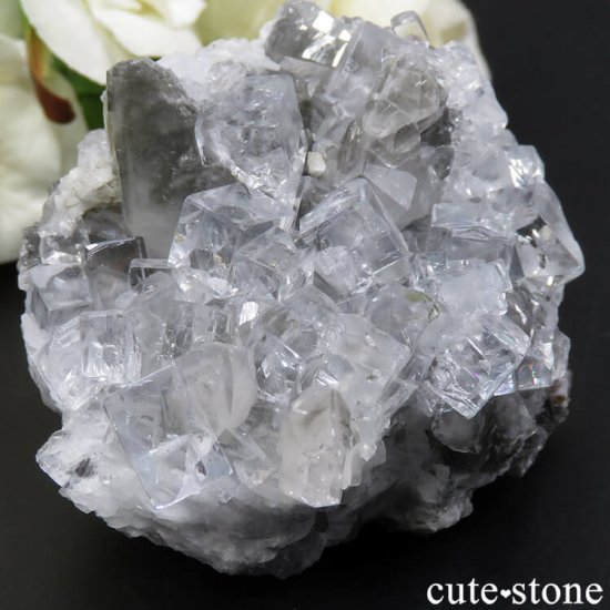 ڥ Emilio Mine 顼쥹ե饤Ȥդ뾽ʸС 118gμ̿2 cute stone