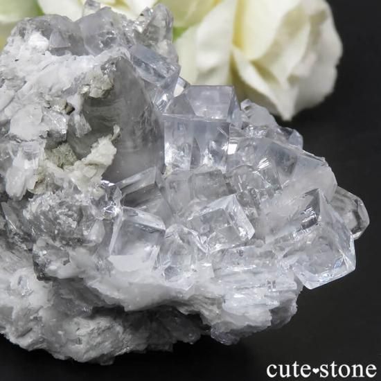 ڥ Emilio Mine 顼쥹ե饤Ȥդ뾽ʸС 118gμ̿3 cute stone