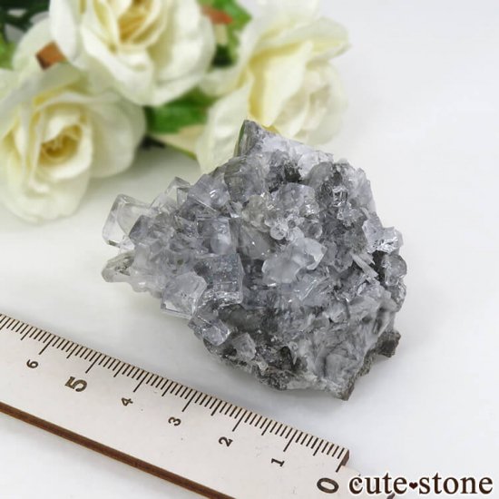 ڥ Emilio Mine 顼쥹ե饤Ȥդ뾽ʸС 118gμ̿6 cute stone