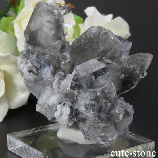 ڥ Emilio Mine 顼쥹ե饤Ȥդ뾽ʸС 61gμ̿0 cute stone