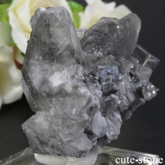 ڥ Emilio Mine 顼쥹ե饤Ȥդ뾽ʸС 61gμ̿1 cute stone