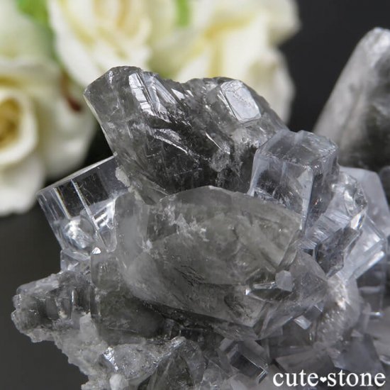 ڥ Emilio Mine 顼쥹ե饤Ȥդ뾽ʸС 61gμ̿4 cute stone