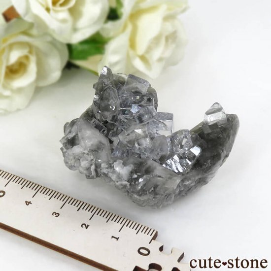 ڥ Emilio Mine 顼쥹ե饤Ȥդ뾽ʸС 61gμ̿5 cute stone