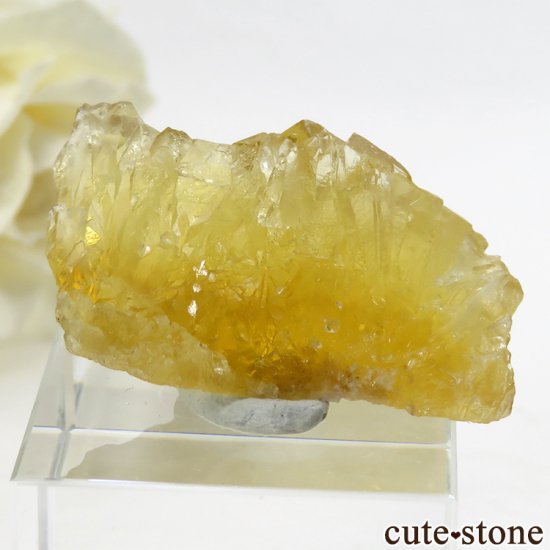  ʻ ե饤Ȥθ 13.2gμ̿0 cute stone
