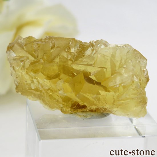  ʻ ե饤Ȥθ 13.2gμ̿1 cute stone