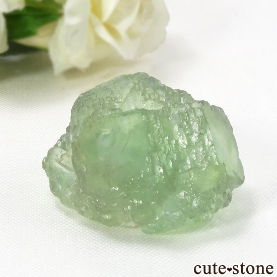  ʡʻ ꡼ե饤Ȥθ 59gμ̿0 cute stone