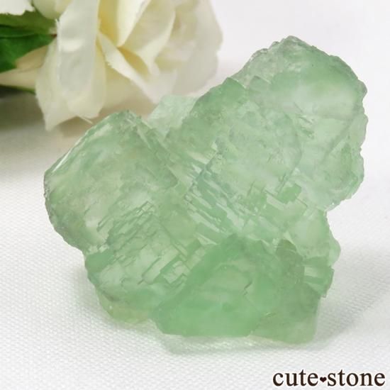 中国 福建省産 グリーンフローライトの原石 58g - cute stone -