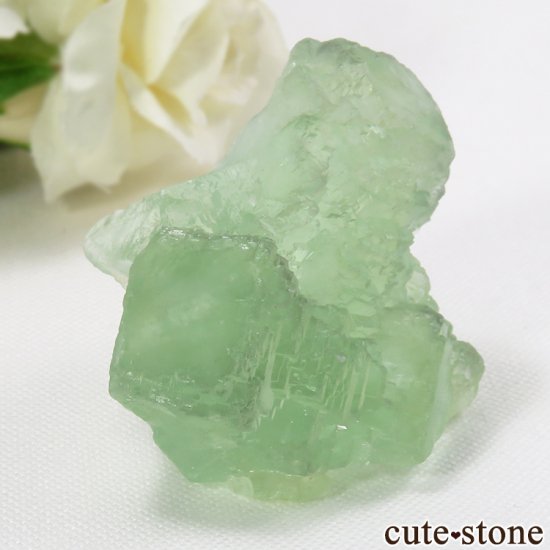  ʡʻ ꡼ե饤Ȥθ 58gμ̿0 cute stone
