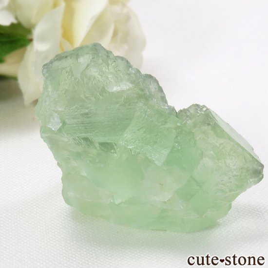  ʡʻ ꡼ե饤Ȥθ 58gμ̿1 cute stone