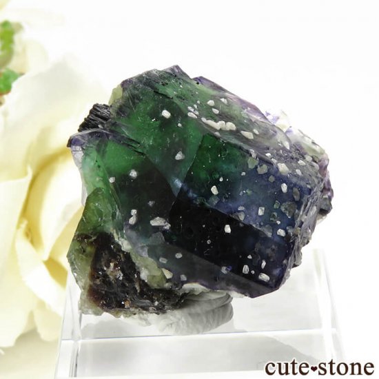 ナミビア エロンゴ産 トリカラーフローライトの原石 17.3g - cute stone