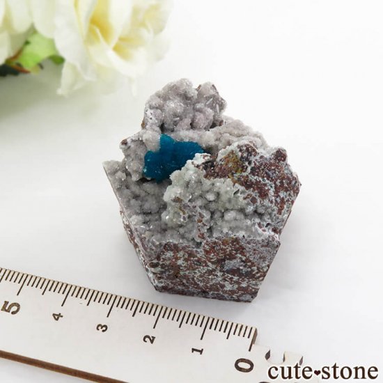  ץ͡ Х󥵥Ȥθ 54gμ̿4 cute stone