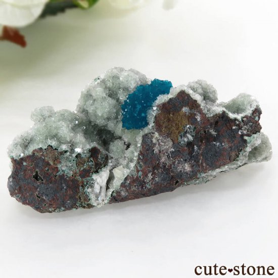  ץ͡ Х󥵥Ȥθ 19gμ̿0 cute stone