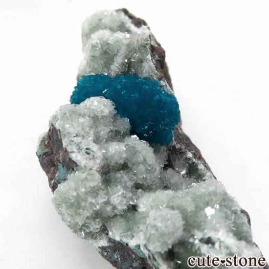  ץ͡ Х󥵥Ȥθ 19gμ̿1 cute stone