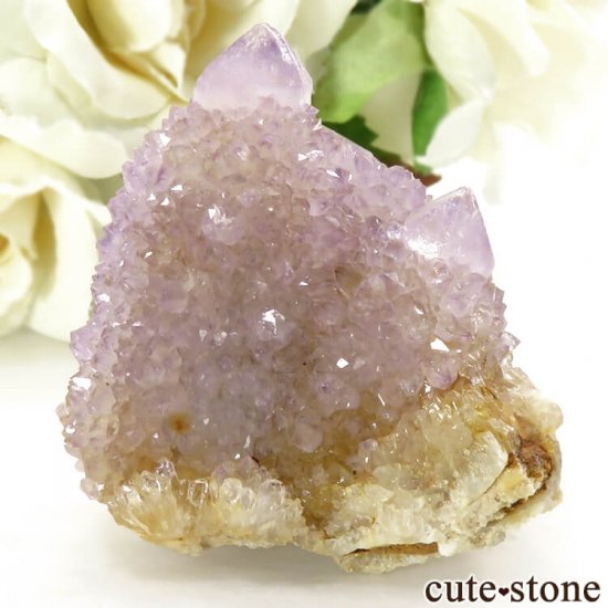 եꥫ ġʥ᥸ȡˤθ 43.6gμ̿1 cute stone
