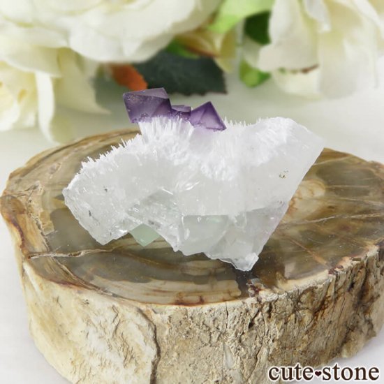  ʻ ѡץե饤ȤդȬη뾽ʸС9gμ̿0 cute stone