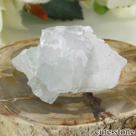  ʻ ѡץե饤ȤդȬη뾽ʸС9gμ̿1 cute stone