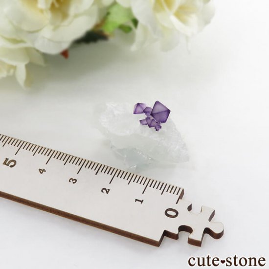  ʻ ѡץե饤ȤդȬη뾽ʸС9gμ̿2 cute stone