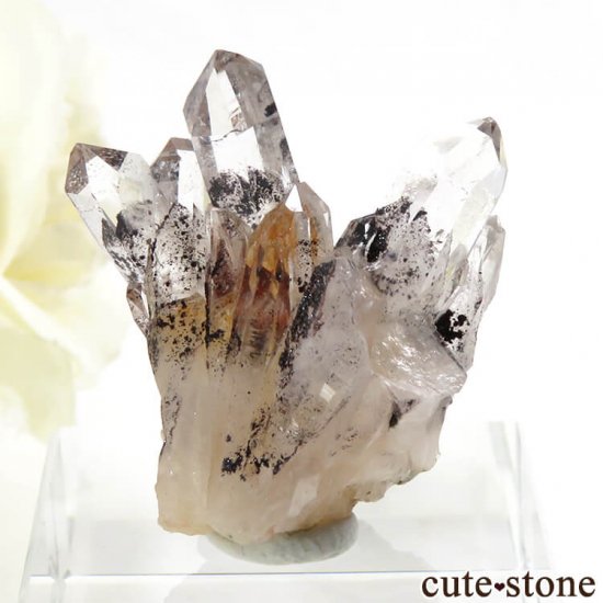 ɻ եȥ९ġʥإޥȥ󥯥ġ˥ޥͥȤθ 7.3gμ̿0 cute stone
