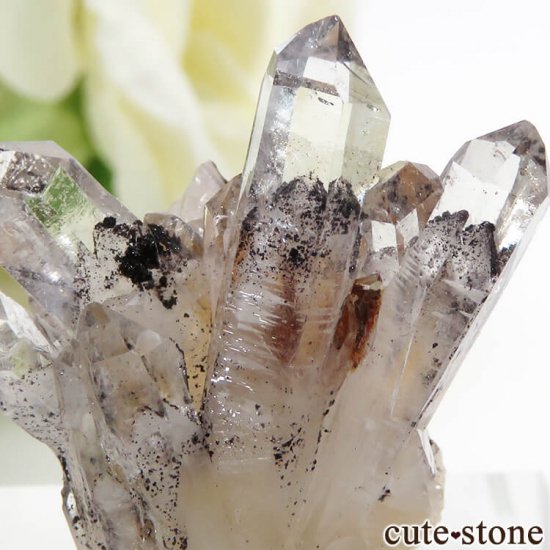 ɻ եȥ९ġʥإޥȥ󥯥ġ˥ޥͥȤθ 7.3gμ̿1 cute stone