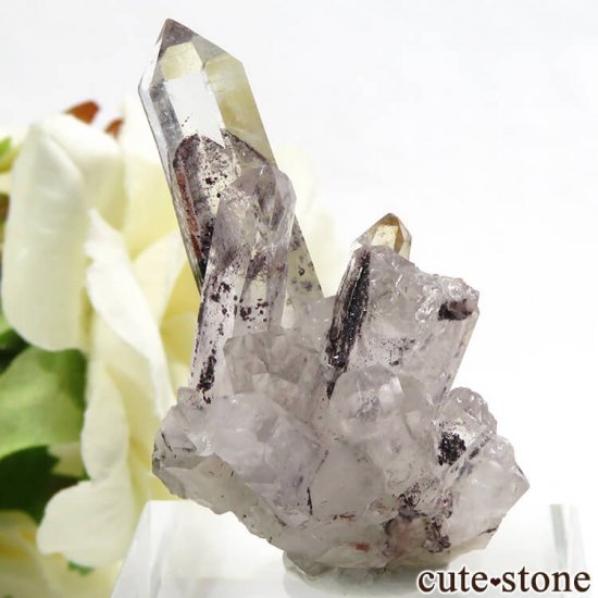 ɻ եȥ९ġʥإޥȥ󥯥ġ˥ޥͥȤθ 7.8gμ̿0 cute stone