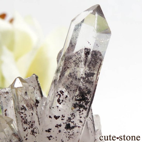 ɻ եȥ९ġʥإޥȥ󥯥ġ˥ޥͥȤθ 7.8gμ̿1 cute stone