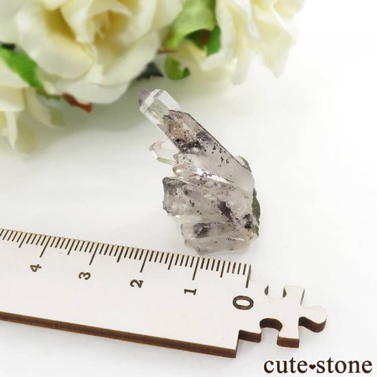 ɻ եȥ९ġʥإޥȥ󥯥ġ˥ޥͥȤθ 7.8gμ̿2 cute stone