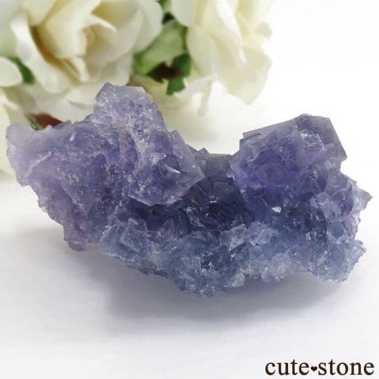  ѡץߥ֥롼ե饤Ȥθ 79gμ̿0 cute stone