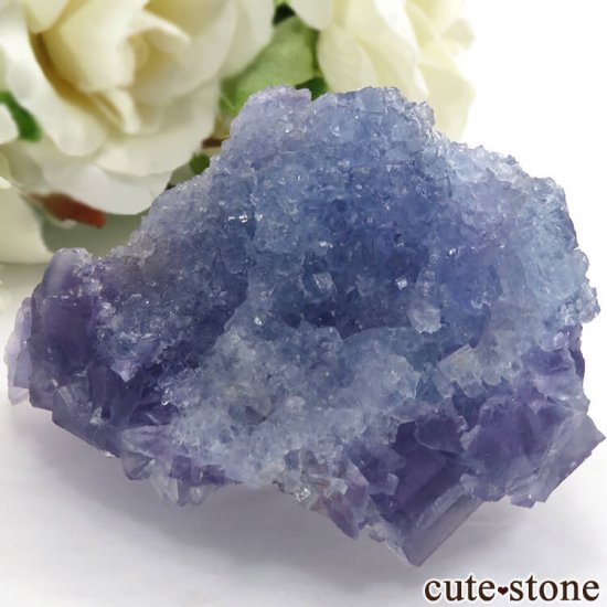  ѡץߥ֥롼ե饤Ȥθ 79gμ̿1 cute stone