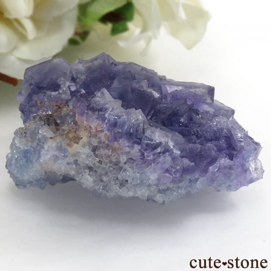  ѡץߥ֥롼ե饤Ȥθ 52gμ̿0 cute stone