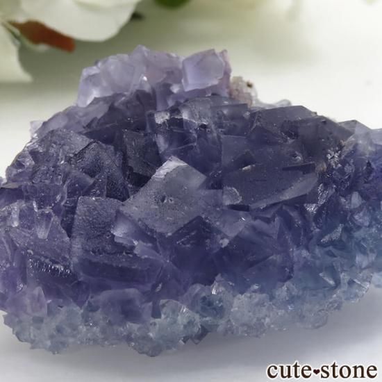 中国産 パープル×ブルーフローライトの原石 52g - cute stone -