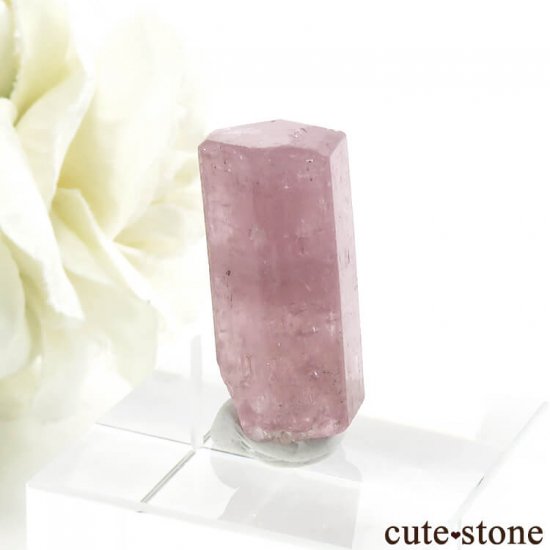 ѥ ɥ ԥ󥯥ѥȤη뾽ʸС 4.9gμ̿0 cute stone