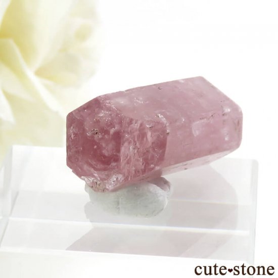 ѥ ɥ ԥ󥯥ѥȤη뾽ʸС 4.9gμ̿2 cute stone