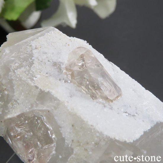ѥ ɥ ȥѡդ뾽ʸС24gμ̿2 cute stone