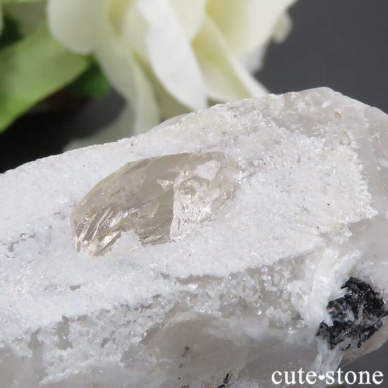 ѥ ɥ ȥѡդ뾽ʸС24gμ̿3 cute stone