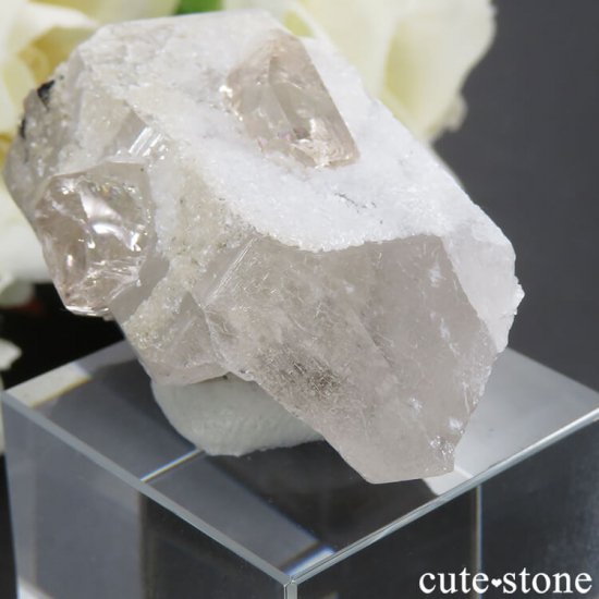 ѥ ɥ ȥѡդ뾽ʸС24gμ̿4 cute stone