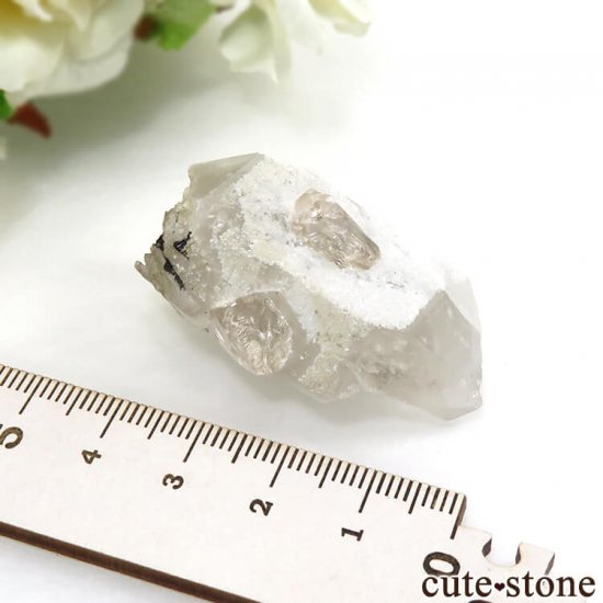 ѥ ɥ ȥѡդ뾽ʸС24gμ̿5 cute stone