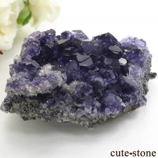  ʡʻѡץ֥롼ե饤Ȥη뾽ʸС 209gμ̿0 cute stone