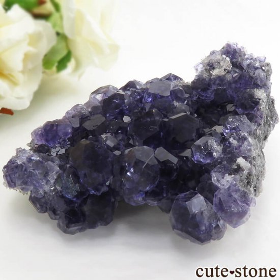 ʡʻѡץ֥롼ե饤Ȥη뾽ʸС 209gμ̿1 cute stone