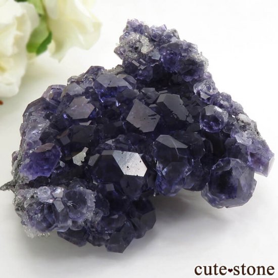  ʡʻѡץ֥롼ե饤Ȥη뾽ʸС 209gμ̿2 cute stone