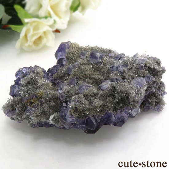  ʡʻѡץ֥롼ե饤Ȥη뾽ʸС 209gμ̿8 cute stone