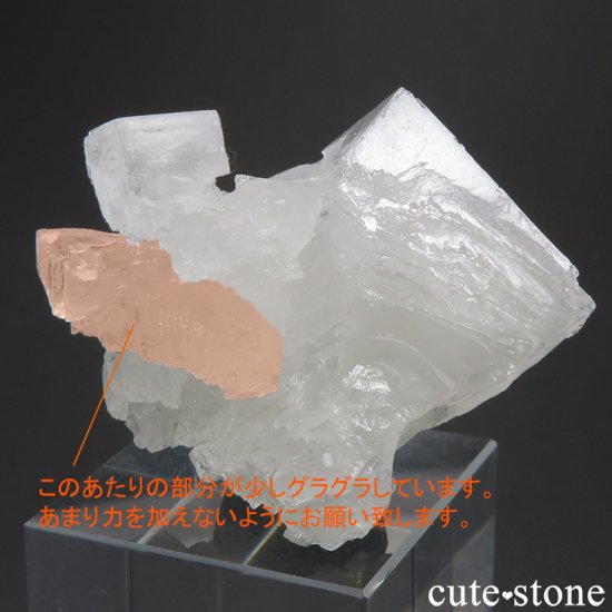 ꥫ 楿 ϥ饤Ȥη뾽ʸС 15.1gμ̿2 cute stone