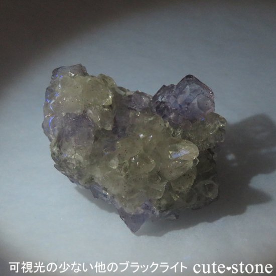 ڥϥѥס۷ָʪδվޤˡLED֥å饤ȡUV365nmˤμ̿5 cute stone
