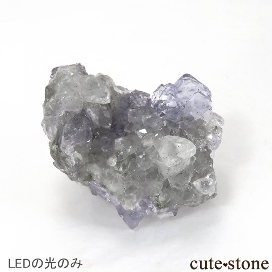 ڥϥѥס۷ָʪδվޤˡLED֥å饤ȡUV365nmˤμ̿6 cute stone