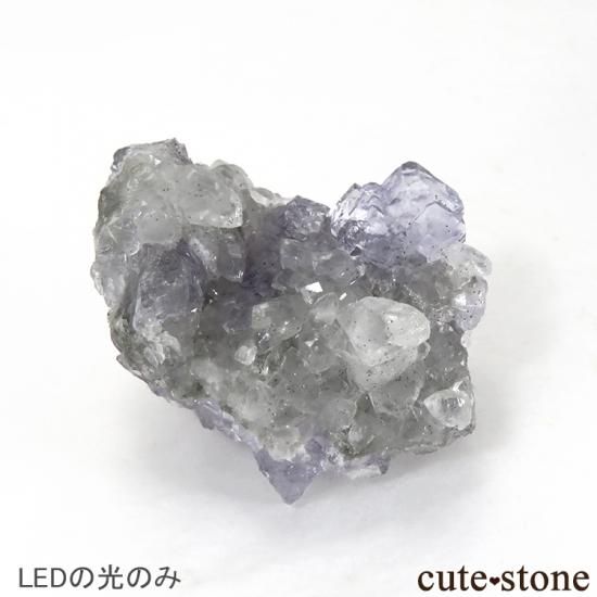 【ハイパワータイプ】蛍光鉱物の鑑賞に!LEDブラックライト(UV365nm)の写真6 cute stone