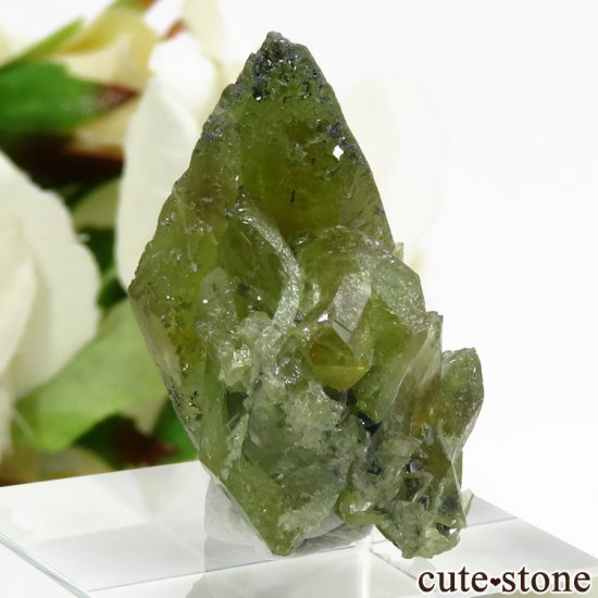 ѥ ɥ ե礭ʷ뾽 () 10.9gμ̿1 cute stone