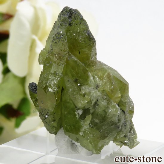 ѥ ɥ ե礭ʷ뾽 () 10.9gμ̿2 cute stone