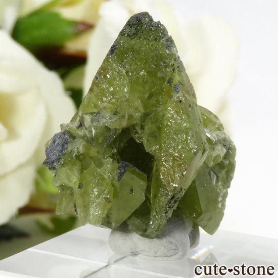ѥ ɥ ե礭ʷ뾽 () 10.9gμ̿3 cute stone